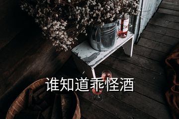 誰(shuí)知道乖怪酒