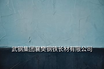 武鋼集團(tuán)襄樊鋼鐵長材有限公司