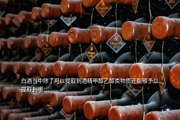 白酒當(dāng)中除了可以提取到酒精甲醇乙醇類物質(zhì)還能夠予以提取到哪