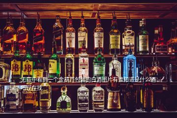 無(wú)意中看到一個(gè)金葫蘆包裝的白酒圖片有誰(shuí)知道是什么酒嗎現(xiàn)在找