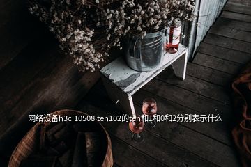 網(wǎng)絡設備h3c 10508 ten102的ten和1和0和2分別表示什么