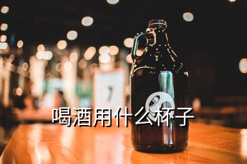 喝酒用什么杯子