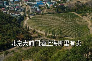 北京大前門(mén)酒上海哪里有賣(mài)