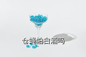 倉蠅怕白酒嗎