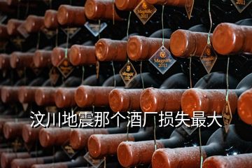 汶川地震那個(gè)酒廠損失最大