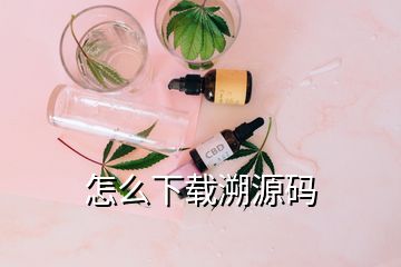 怎么下載溯源碼