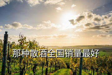 那種散酒全國(guó)銷量最好