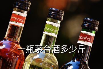 一瓶茅臺酒多少斤