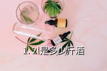 1. 2l是多少斤酒