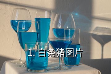 1. 白條豬圖片