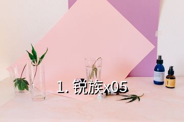 1. 銳族x05