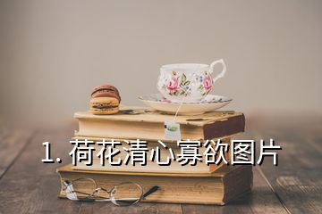 1. 荷花清心寡欲圖片