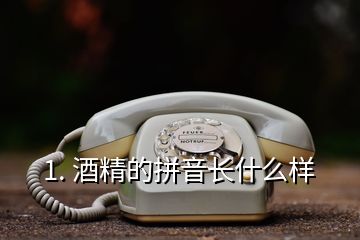 1. 酒精的拼音長(zhǎng)什么樣