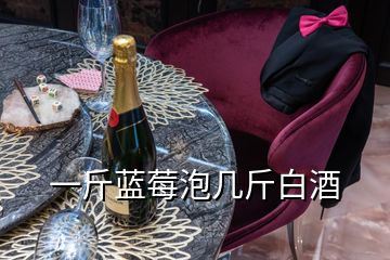 一斤藍莓泡幾斤白酒