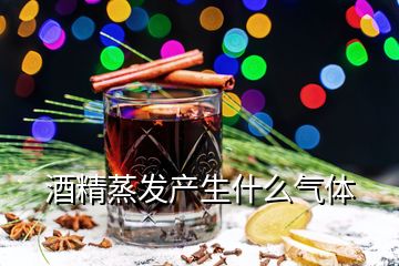 酒精蒸發(fā)產(chǎn)生什么氣體