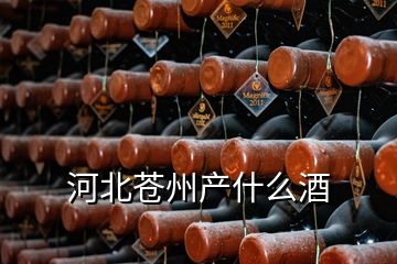 河北蒼州產什么酒