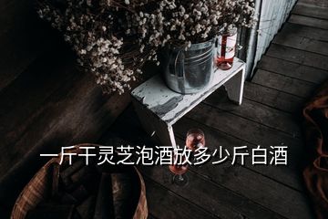 一斤干靈芝泡酒放多少斤白酒