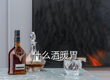 什么酒暖胃