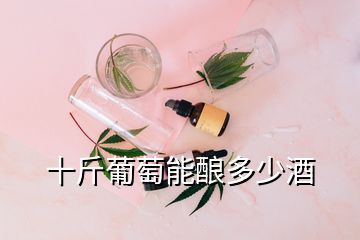 十斤葡萄能釀多少酒