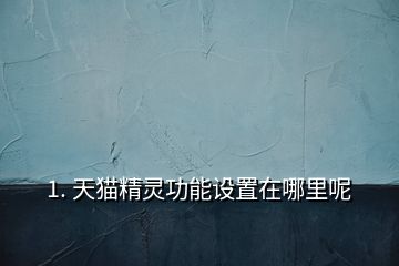 1. 天貓精靈功能設置在哪里呢