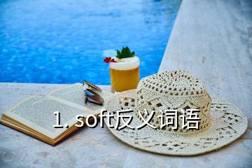 1. soft反義詞語(yǔ)