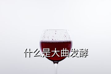 什么是大曲發(fā)酵