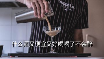 什么酒又便宜又好喝喝了不會(huì)醉