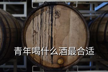 青年喝什么酒最合適