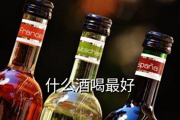 什么酒喝最好