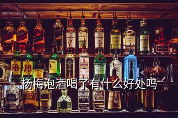 楊梅泡酒喝了有什么好處嗎