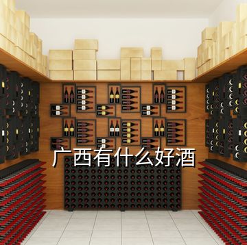 廣西有什么好酒