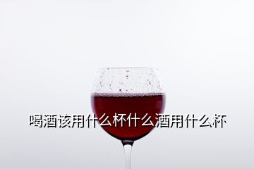 喝酒該用什么杯什么酒用什么杯