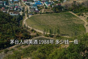 茅臺(tái)人間美酒 1988年 多少錢一瓶