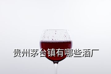 貴州茅臺(tái)鎮(zhèn)有哪些酒廠