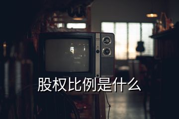 股權(quán)比例是什么