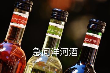 急問(wèn)洋河酒