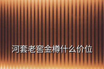 河套老窖金樽什么價位