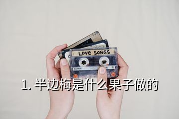 1. 半邊梅是什么果子做的