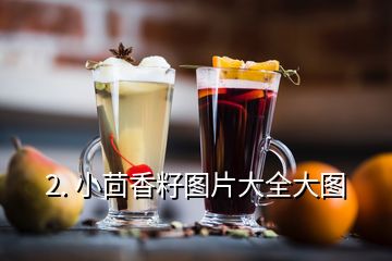 2. 小茴香籽圖片大全大圖