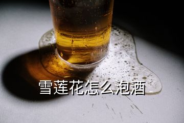 雪蓮花怎么泡酒