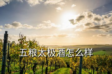 五糧太極酒怎么樣