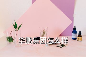 華鵬集團(tuán)怎么樣