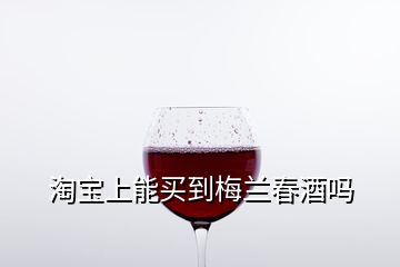 淘寶上能買到梅蘭春酒嗎