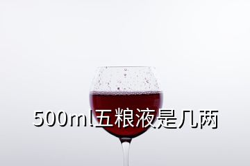 500ml五糧液是幾兩