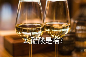 2. 醋酸是啥?