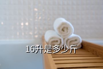 16升是多少斤