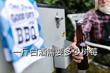 一斤白酒需要多少樹莓