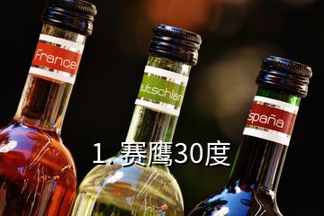 1. 賽鷹30度