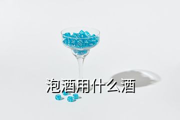 泡酒用什么酒