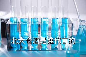 北大倉(cāng)酒是誰代言的